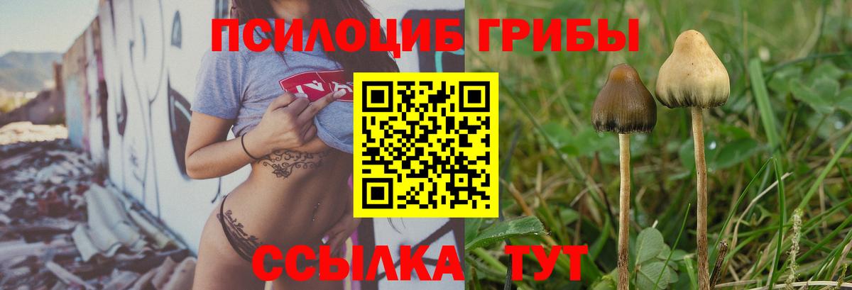 Псилоцибиновые грибы Magic Shrooms  закладки  Кандалакша  Вход с VPN 